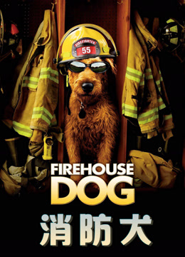 消防犬封面图