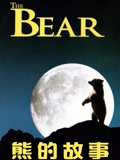 熊的故事封面图