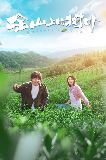 金山上的树叶封面图