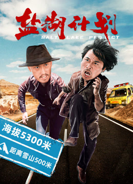盐湖计划封面图