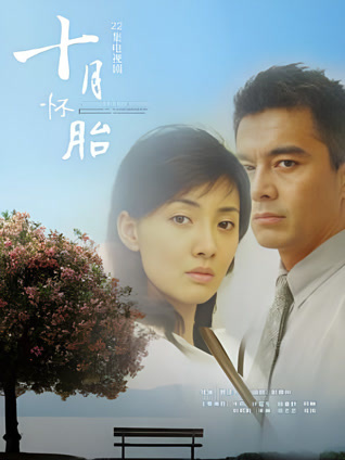 十月怀胎封面图