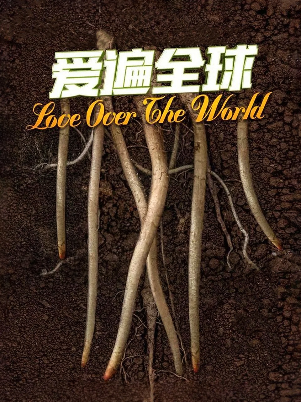 爱遍全球封面图