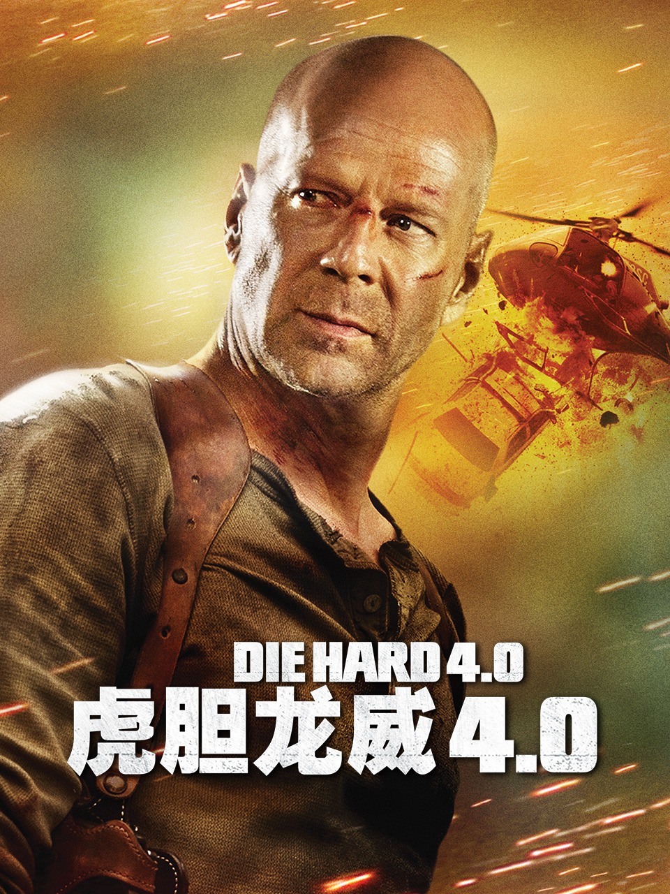 虎胆龙威4封面图