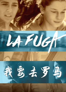 我要去罗马封面图