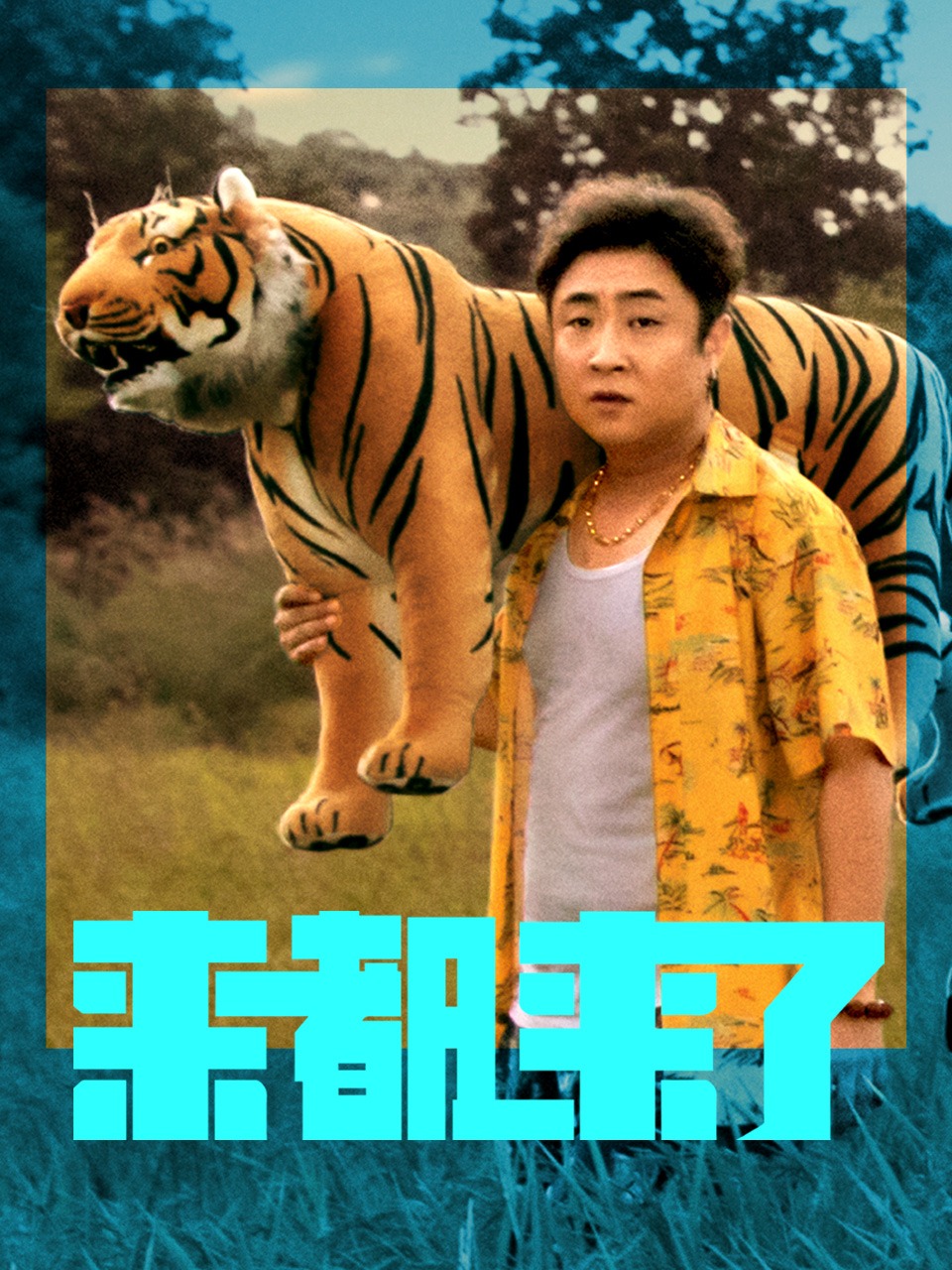 来都来了封面图