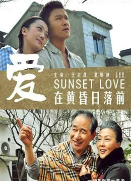 爱在黄昏日落前封面图