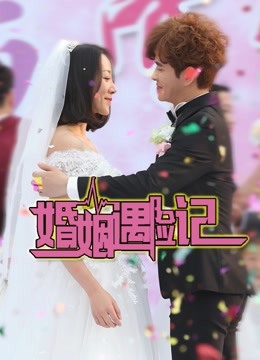 婚姻遇险记封面图