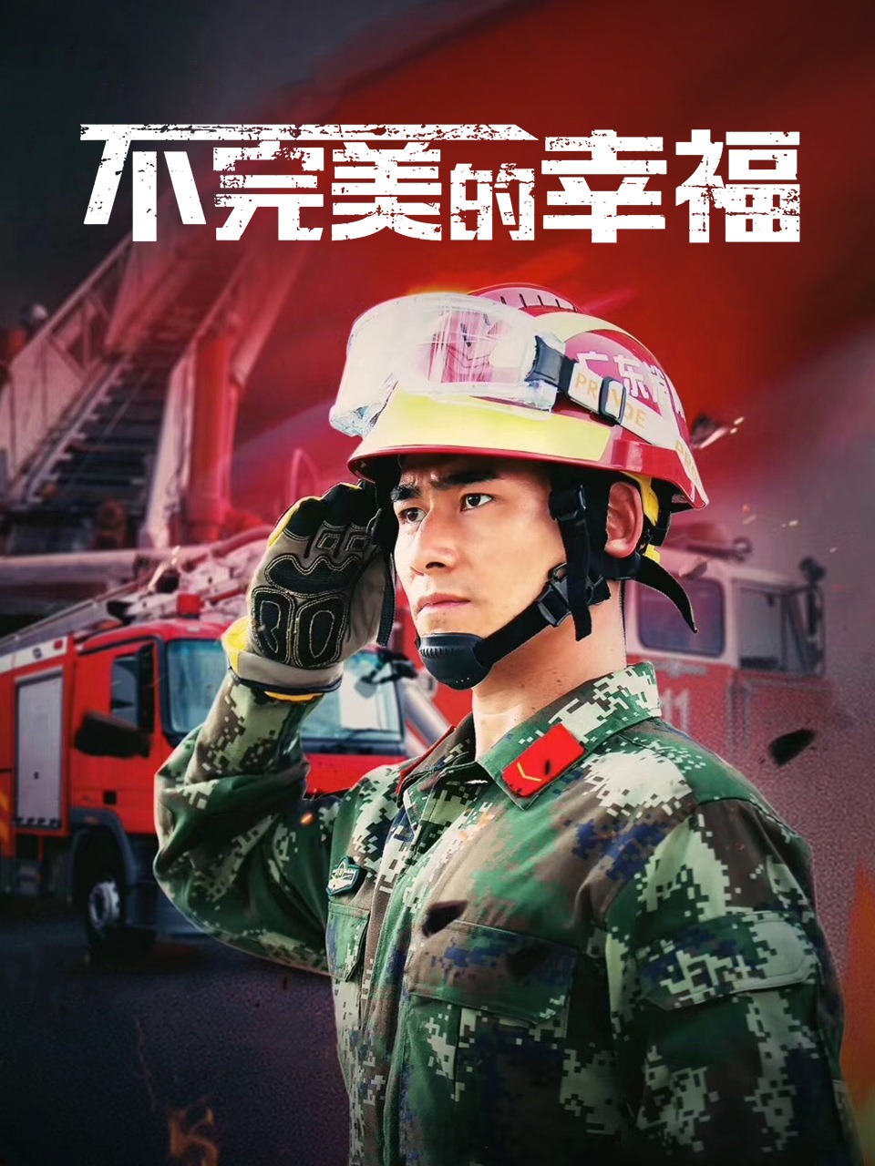 不完美的幸福封面图