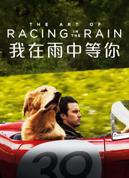 我在雨中等你封面图