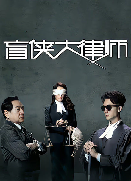 盲侠大律师封面图