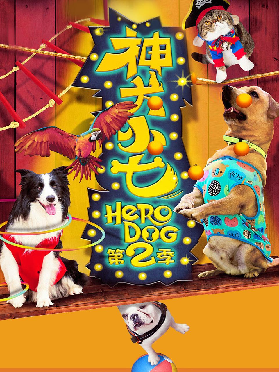 神犬小七 第二季封面图