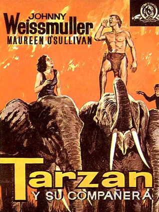 泰山得美封面图