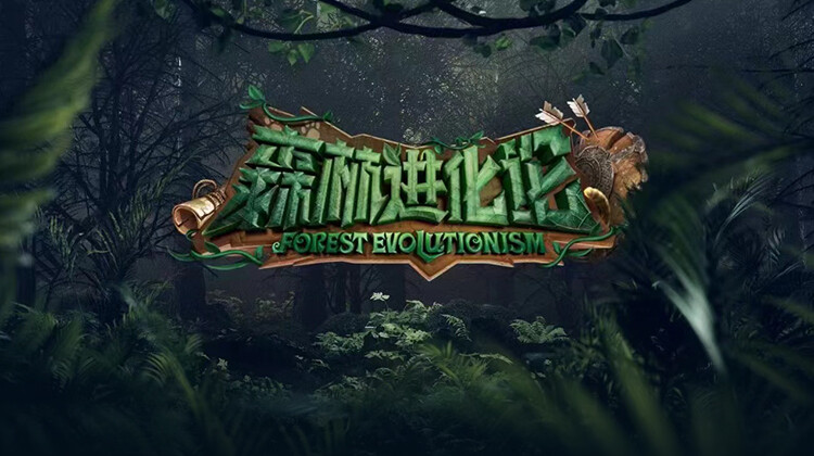 森林进化论封面图