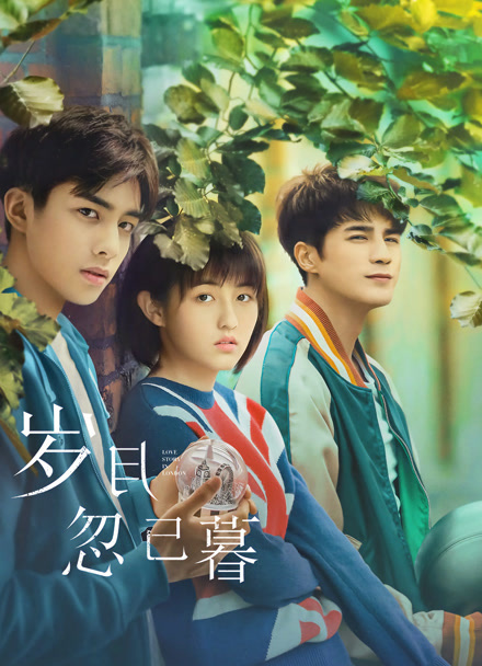 岁月忽已暮封面图