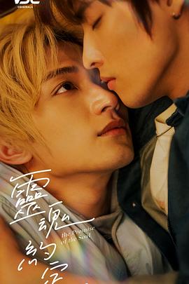 灵魂约定封面图