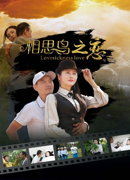 相思鸟之恋封面图