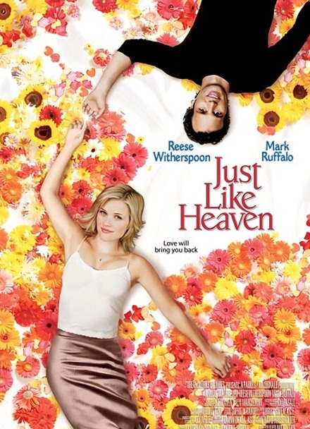 宛如天堂封面图