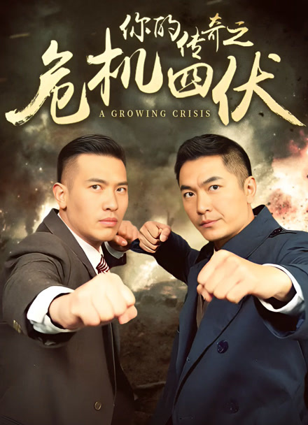 你的传奇之危机四伏封面图