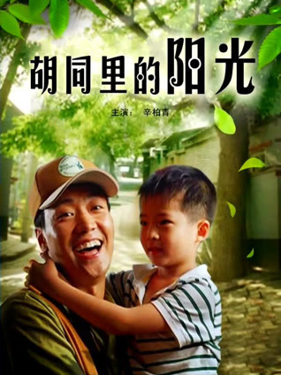 胡同里的阳光封面图