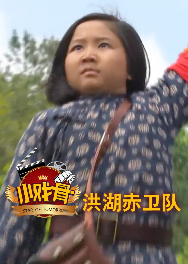 小戏骨洪湖赤卫队封面图