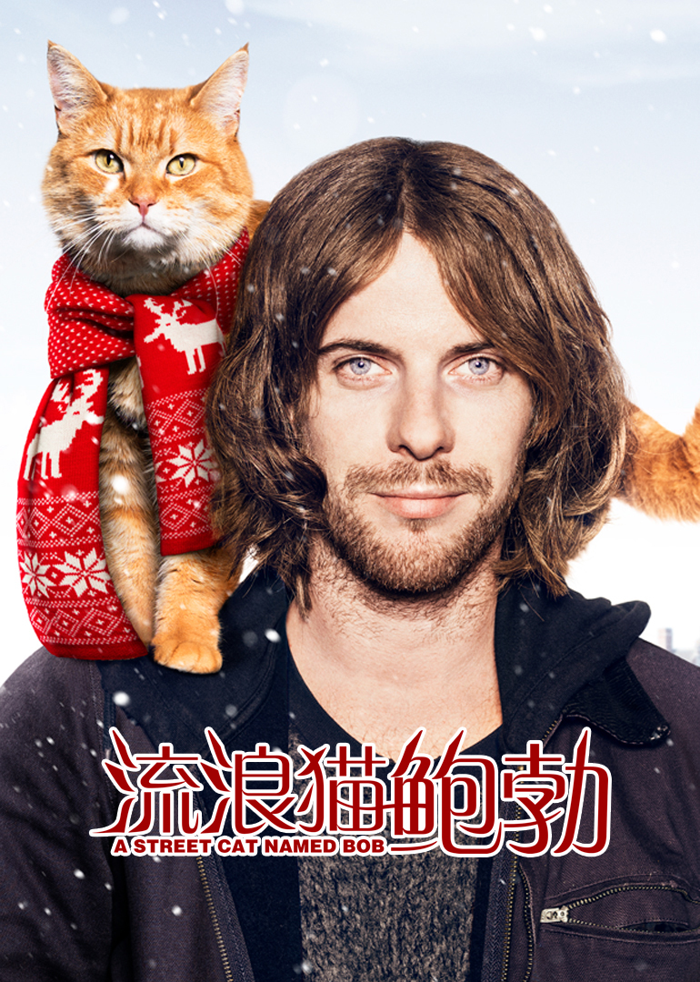 流浪猫鲍勃封面图