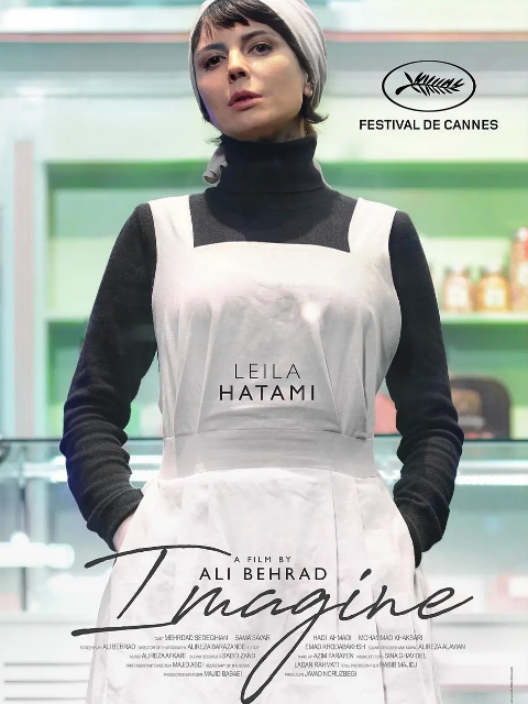 司机的白日梦封面图