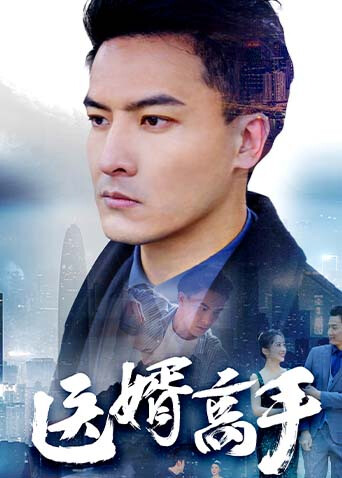 医婿高手封面图