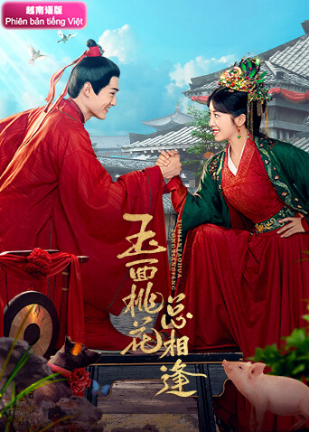 玉面桃花总相逢 越南语版封面图