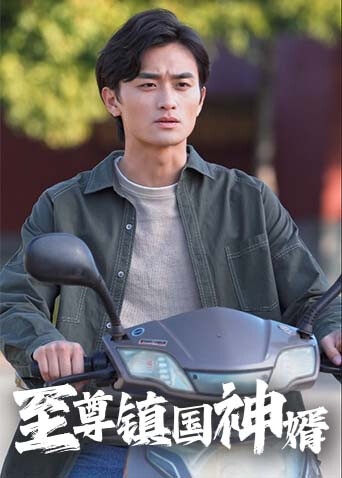 至尊镇国神婿封面图
