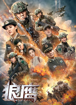 狼鹰封面图