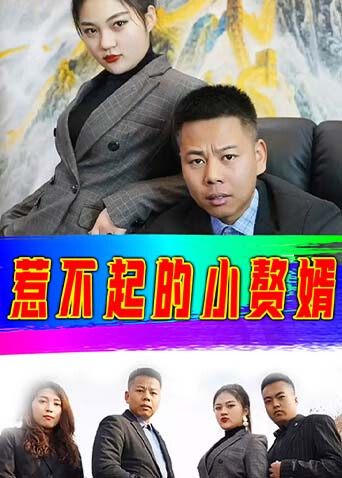 惹不起的小赘婿封面图