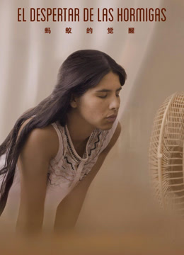 蚂蚁的觉醒封面图