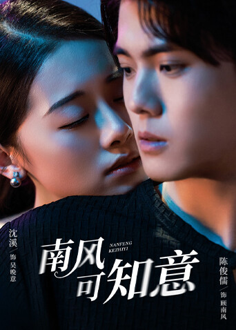 南风可知意封面图