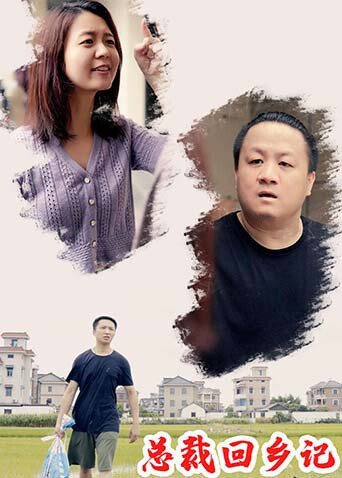 总裁回乡记封面图