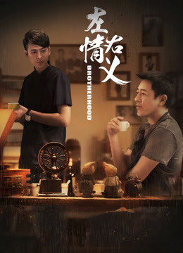 左情右义封面图