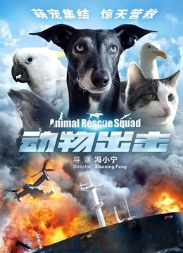 动物出击封面图