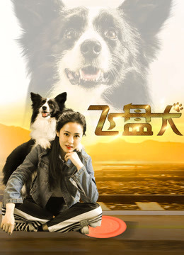 飞盘犬封面图