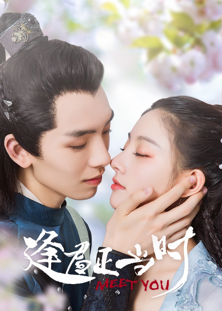 逢君正当时封面图