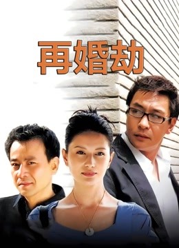 再婚劫封面图