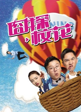 囧探校花封面图