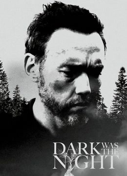 漆黑如夜封面图