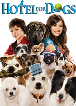 狗狗旅馆封面图