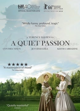 宁静的热情封面图