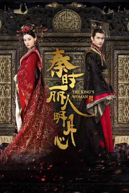 秦时丽人明月心封面图