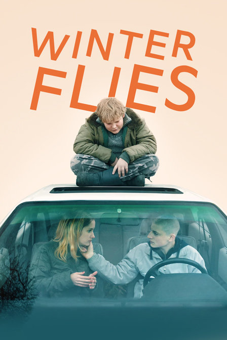 冬天的小苍蝇封面图