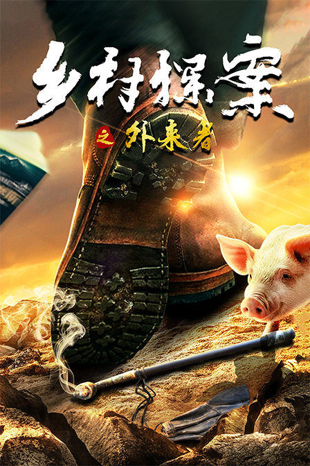 乡村探案之外来者封面图