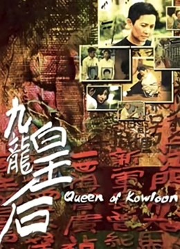 九龙皇后封面图