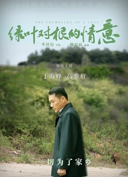 绿叶对根的情意封面图