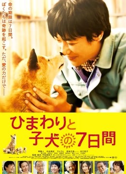 向日葵与幼犬的7天封面图