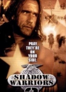 影子勇士2封面图